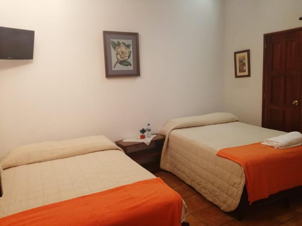 Hotel Y Jardines Casa Buho Antigua Zewnętrze zdjęcie