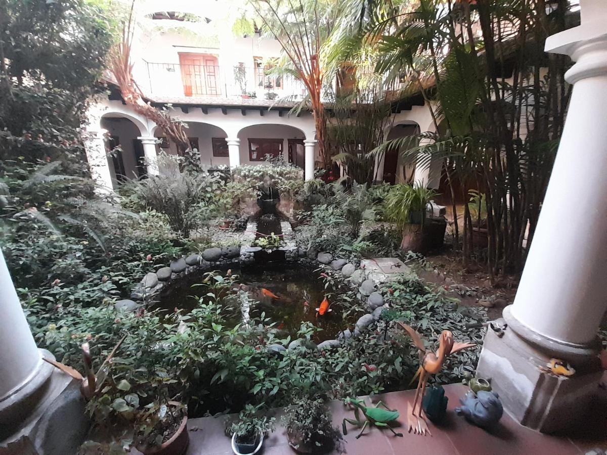 Hotel Y Jardines Casa Buho Antigua Zewnętrze zdjęcie