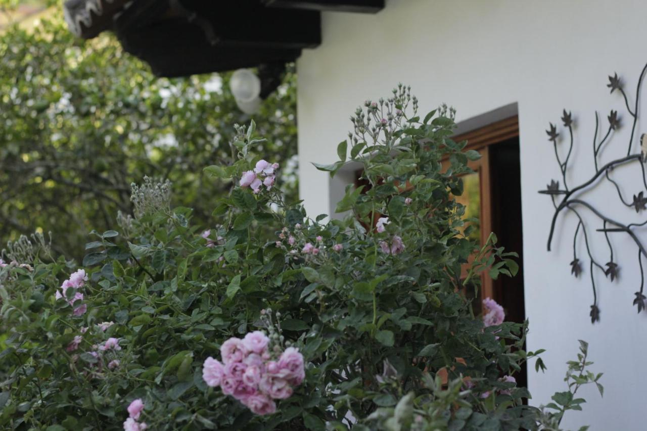 Hotel Y Jardines Casa Buho Antigua Zewnętrze zdjęcie