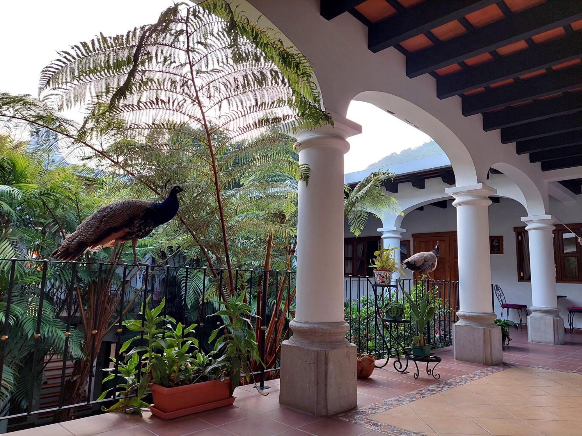 Hotel Y Jardines Casa Buho Antigua Zewnętrze zdjęcie
